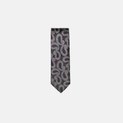 New Edition Fashion Adelmo Paisley Pattern Tie> Ties