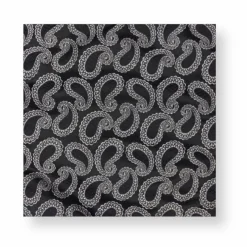 New Edition Fashion Adelmo Paisley Pocket Square> Pocket Squares
