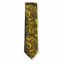 New Edition Fashion Bagdon Slim Paisley Tie> Ties