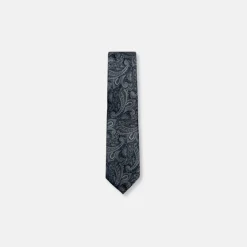 New Edition Fashion Bagwell Slim Paisley Tie> Ties