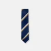 New Edition Fashion Bailor Slim Striped Tie> Ties