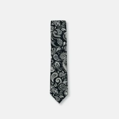 New Edition Fashion Baisley Skinny Paisley Tie> Ties