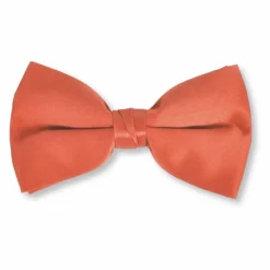 New Edition Fashion Baris Solid Clip Bow Tie> Ties