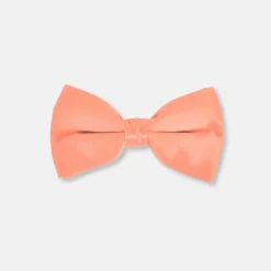New Edition Fashion Baris Solid Clip Bow Tie> Ties