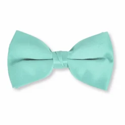 New Edition Fashion Baris Solid Clip Bow Tie> Bow Ties