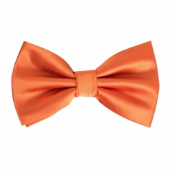 New Edition Fashion Ben Solid Bow Tie> Ties
