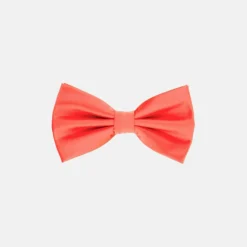New Edition Fashion Ben Solid Bow Tie> Bow Ties