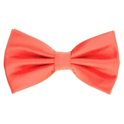 New Edition Fashion Ben Solid Bow Tie> Ties