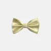 New Edition Fashion Ben Solid Bow Tie> Bow Ties