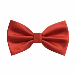 New Edition Fashion Ben Solid Bow Tie> Ties