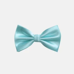 New Edition Fashion Ben Solid Bow Tie> Ties