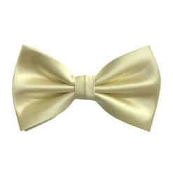 New Edition Fashion Ben Solid Bow Tie> Ties