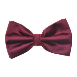 New Edition Fashion Ben Solid Bow Tie> Ties