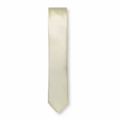 New Edition Fashion Bennett Solid Skinny Tie> Ties