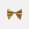 New Edition Fashion Brandon Long Bow Tie> Bow Ties