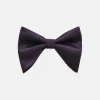 New Edition Fashion Brandon Long Bow Tie> Ties