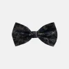 New Edition Fashion Braydon Paisley Bow Tie> Ties