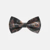 New Edition Fashion Brigham Paisley Bow Tie> Bow Ties