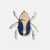 New Edition Fashion Brody Beetle Lapel Pin Brooch> Lapel Pins