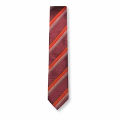 New Edition Fashion Bukhari Skinny Striped Tie> Ties
