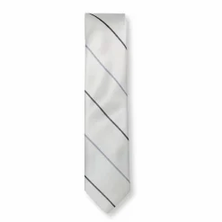 New Edition Fashion Burke Skinny Striped Tie> Ties