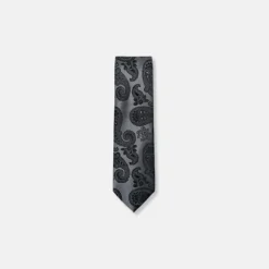 New Edition Fashion Dabney Classic Paisley Tie> Ties