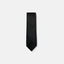New Edition Fashion Dace Classic Paisley Tie> Ties