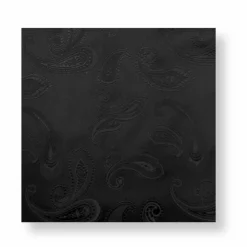 New Edition Fashion Dace Paisley Pocket Square> Pocket Squares