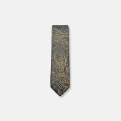New Edition Fashion Dagan Classic Paisley Tie> Ties