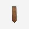 New Edition Fashion Dalbec Classic Paisley Tie> Ties