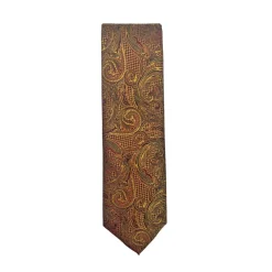 New Edition Fashion Dalbec Classic Paisley Tie> Ties