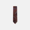 New Edition Fashion Dalman Classic Paisley Tie> Ties