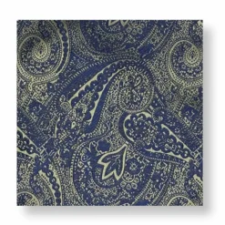 New Edition Fashion Dalpe Paisley Pocket Square> Pocket Squares