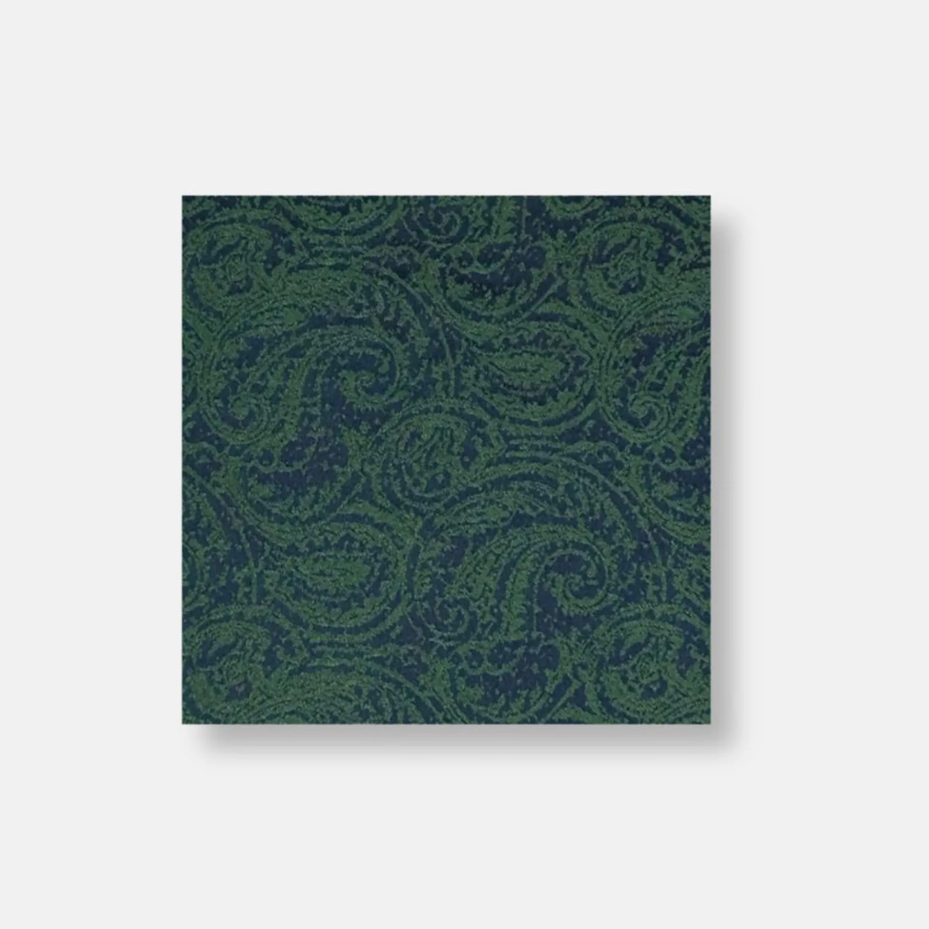 New Edition Fashion Dameron Paisley Pocket Square> Pocket Squares