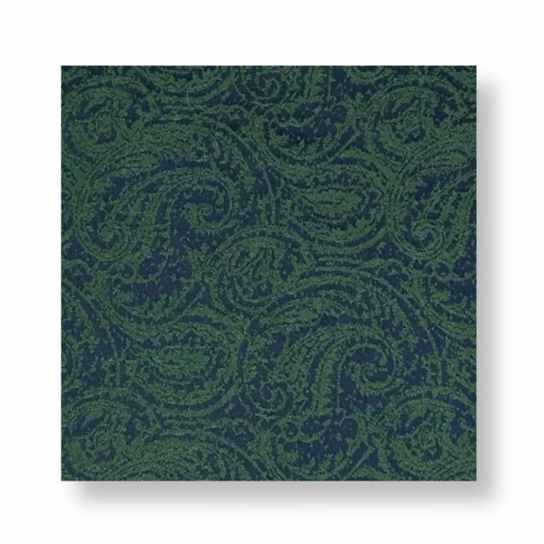 New Edition Fashion Dameron Paisley Pocket Square> Pocket Squares