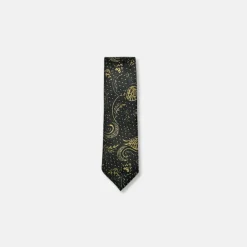 New Edition Fashion Danner Classic Paisley Tie> Ties