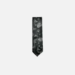 New Edition Fashion Danner Classic Paisley Tie> Ties