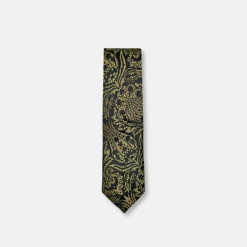 New Edition Fashion Danos Classic Paisley Tie> Ties