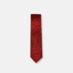 New Edition Fashion Darden Classic Paisley Tie> Ties