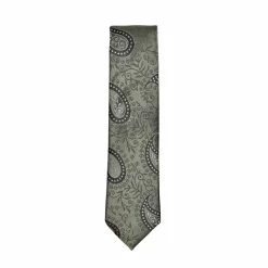 New Edition Fashion Darnell Classic Paisley Tie> Ties