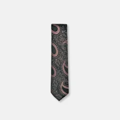 New Edition Fashion Darnell Classic Paisley Tie> Ties