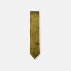 New Edition Fashion Darnell Classic Paisley Tie> Ties