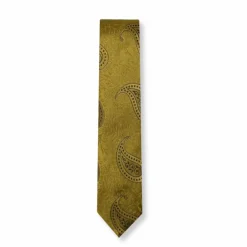 New Edition Fashion Darnell Classic Paisley Tie> Ties