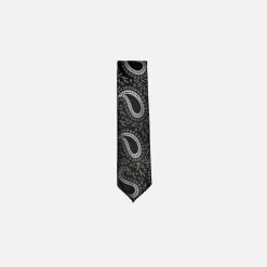 New Edition Fashion Darnell Classic Paisley Tie> Ties