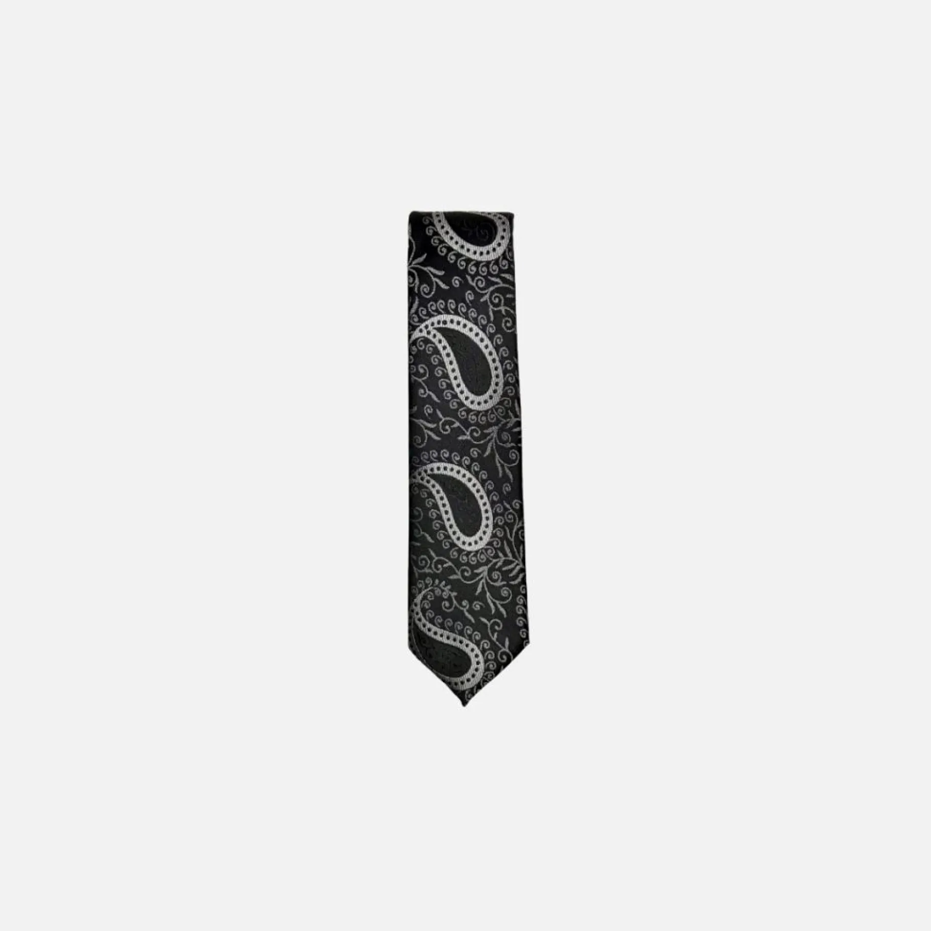 New Edition Fashion Darnell Classic Paisley Tie> Ties