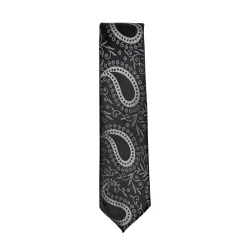 New Edition Fashion Darnell Classic Paisley Tie> Ties