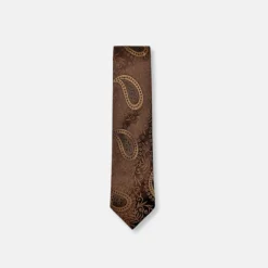 New Edition Fashion Darnell Classic Paisley Tie> Ties