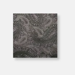 New Edition Fashion Daron Paisley Pocket Square> Pocket Squares
