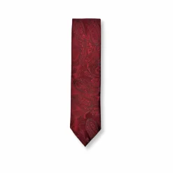 New Edition Fashion Daulton Classic Paisley Tie> Ties