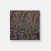 New Edition Fashion Davalos Paisley Pocket Square> Pocket Squares
